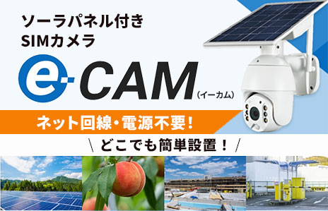 e-CAM